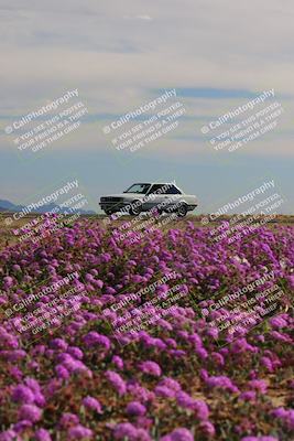 media/Jan-08-2023-SCCA SD (Sun) [[8f6a5b9391]]/Intermediate Group/Session 2 (Short Straight)/